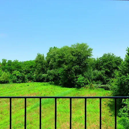 Western Titian Treviso Силея